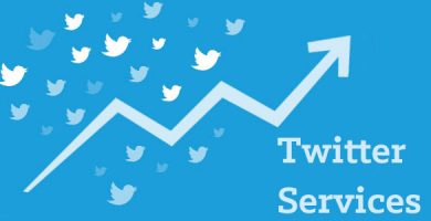 Twitter services offered by Tweet Binder
