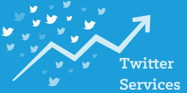 Twitter services offered by Tweet Binder
