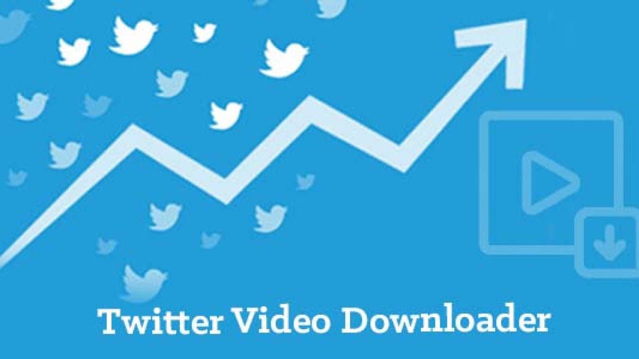 Twitter Video Downloader How To Download Twitter Videos