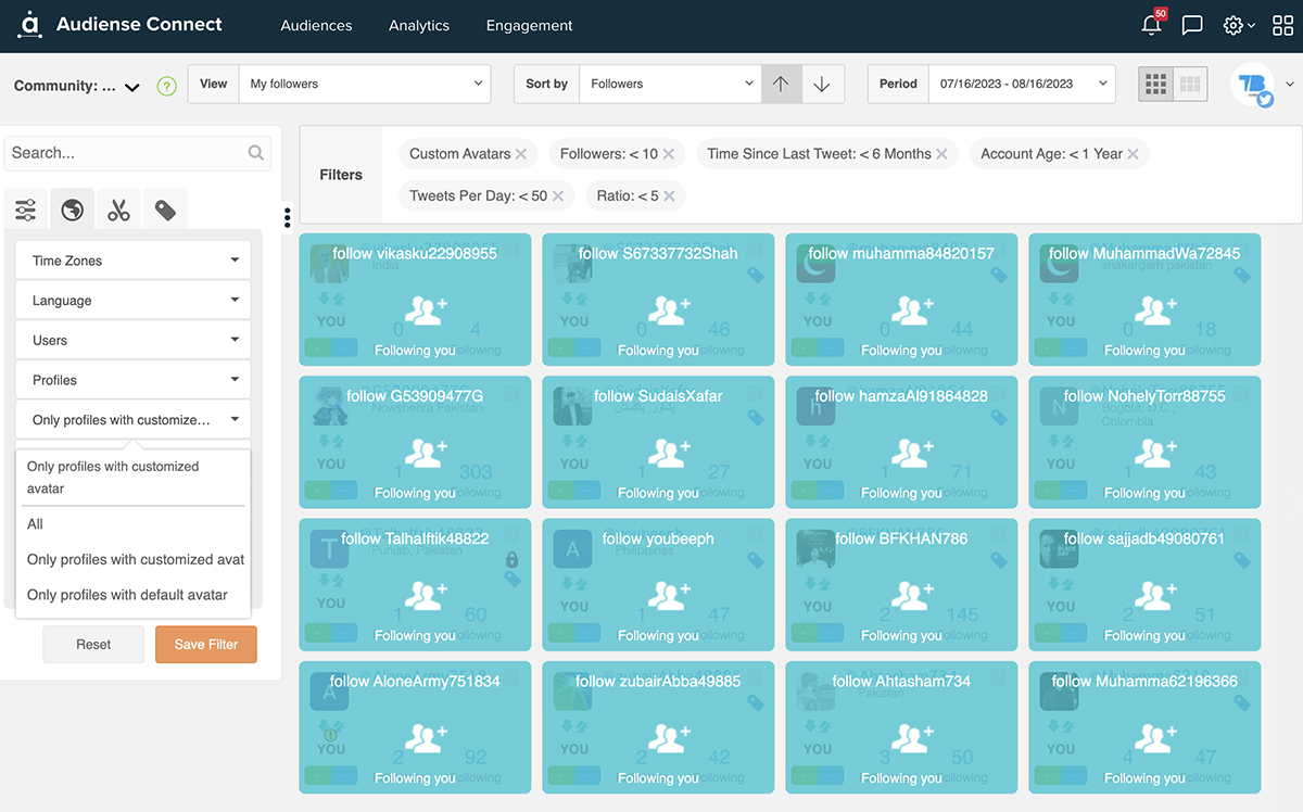 Audiense Connect - Twitter follower audit - customized avatar filter