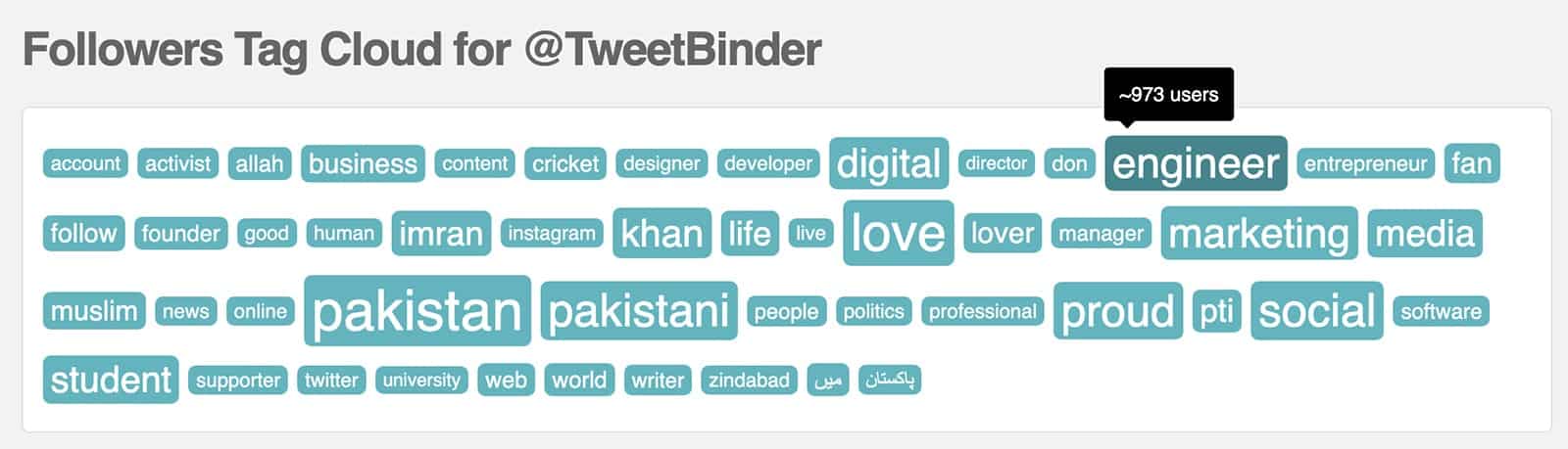 Audiense Connect - Twitter follower demographics - bio tag cloud