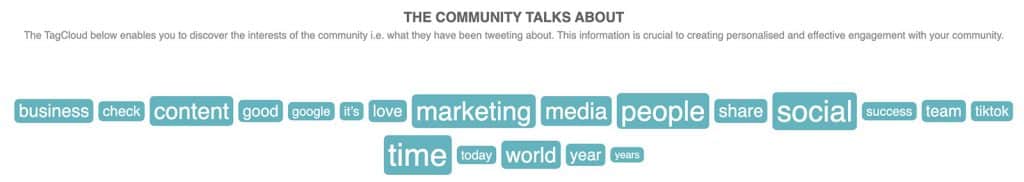 Audiense Connect - community interest tag cloud