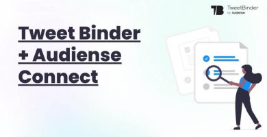 conectar Tweet Binder Audiense Connect